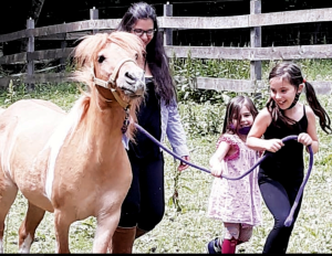 Read more about the article Equine Therapy and Recreation